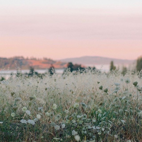 Meet your Posher, Maria - Picture 1 of 1